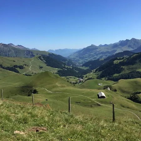 Bundb-wyssen-matten Bed & Breakfast 3*